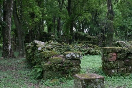 Ruinen vom Urwald überwuchert